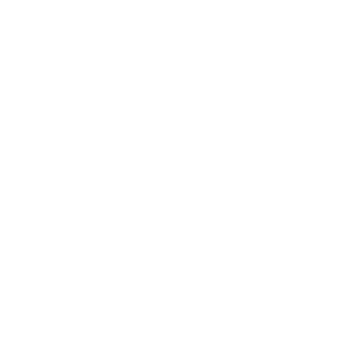 Logo VE STOPĚ